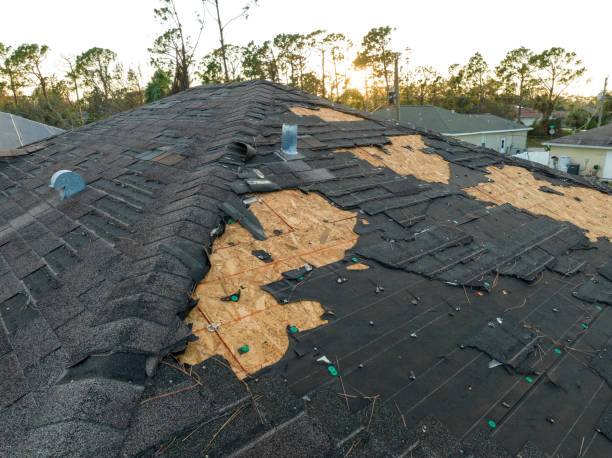 Best Skylight Installation and Repair  in Hope, IN